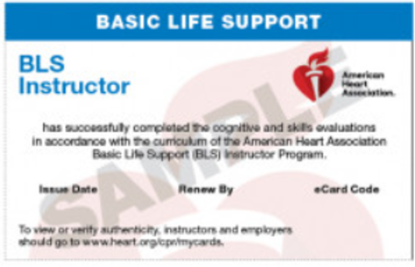AHA BLS Instructor Course