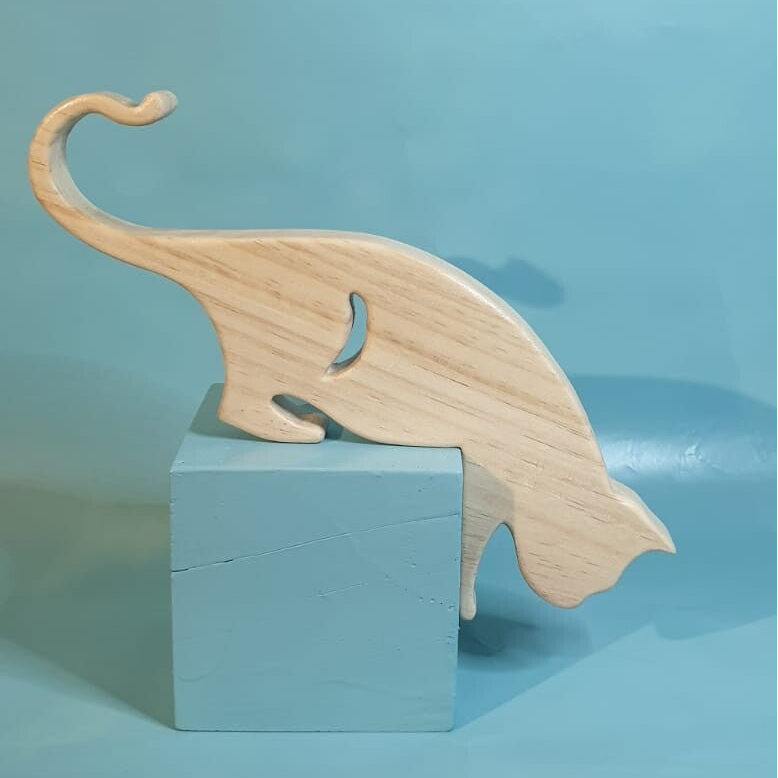 Descente contrôlée