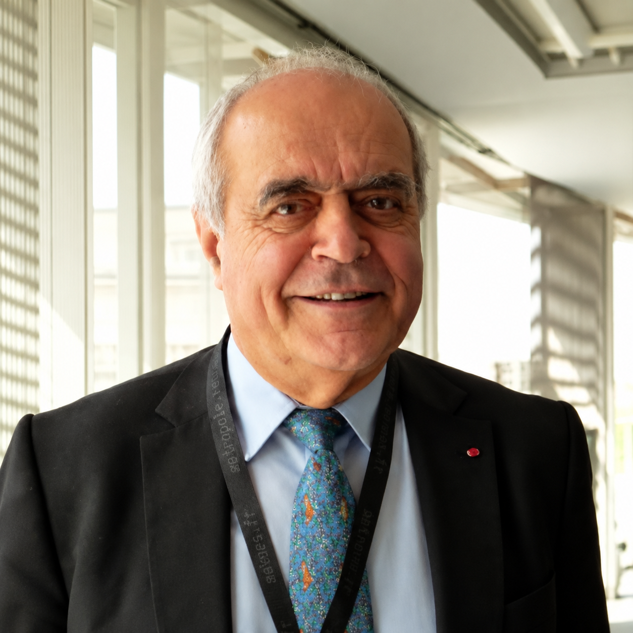 Alain Juillet, Grand Prieur de France