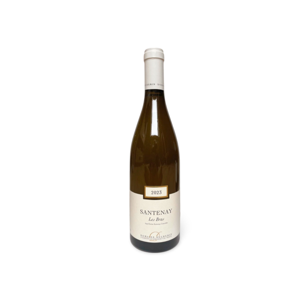 Santenay Blanc 2023 - Domaine Duchemin, Côte de Beaune