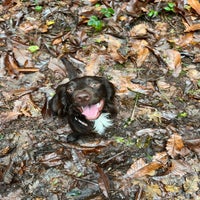 img_8288-standard.jpg