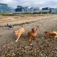 img_9690-standard.jpg