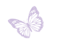 Online Psychologie Baron