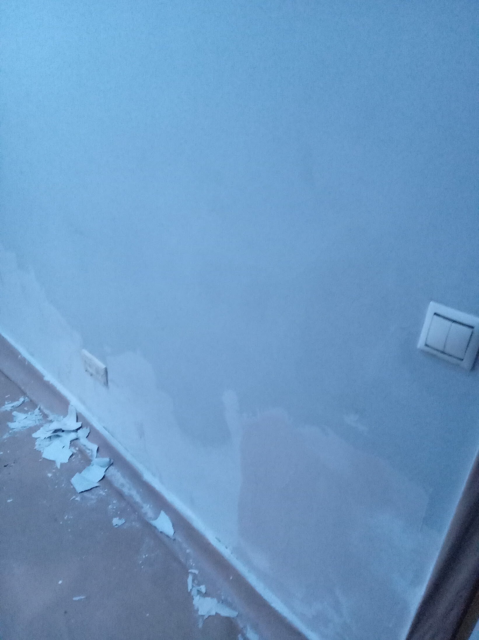 20221023_143753951-standard.jpg