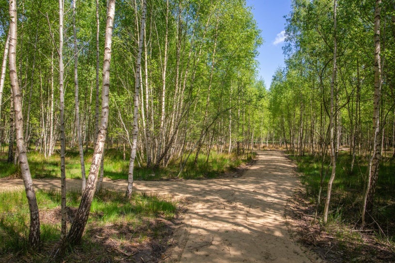 Natuurbegraafplaats Roegwold