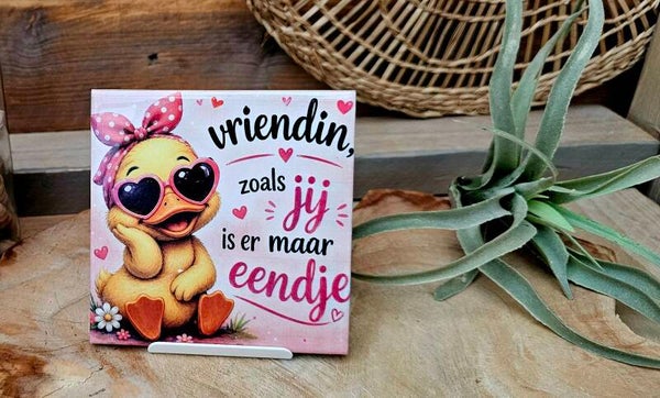 Vriendinnen / Vrienden