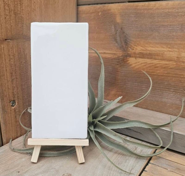 Rechthoekige tegeltjes 7.5 x 15 cm