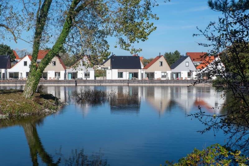 Energetische belasting door gedeelde muren in appartementen. Toxische energie in de werk- en leefomgeving. Energetische restanten en lading van ruimtes. Tweedehands spullen en objecten met vastgezette energie. Energievelden en open aura's in slaapruimtes.