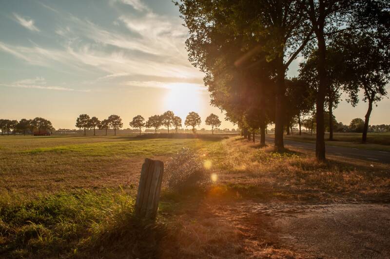 Dit zie je niet alleen in je fysieke gezondheid terug, maar voel je dit direct doorwerken in je energieveld. Door zowel je lichaam als je aura te beschermen en ondersteunen, herstel je niet alleen je hormonale balans, maar ook je levenskracht.