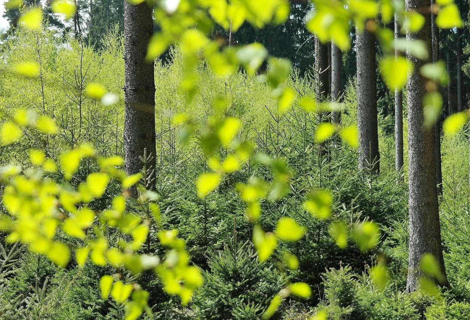 Er kunnen periodes zijn waarin iemand zich redelijk zichzelf voelt, afgewisseld met momenten waarop de innerlijke onrust, negatieve gedachten, emotionele instabiliteit of bepaalde impulsen plotseling sterk toenemen. 