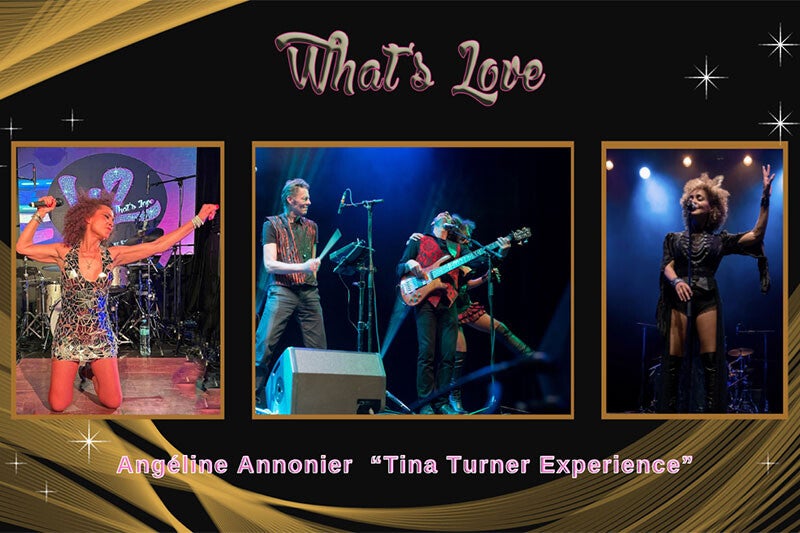 Tina Turner Experience