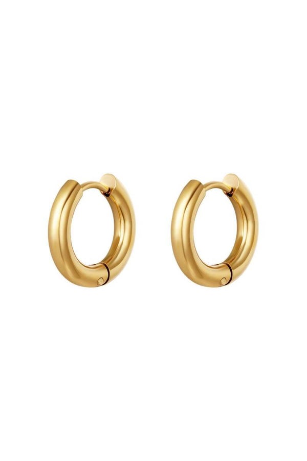 Oorringen 1,6 cm - Goud