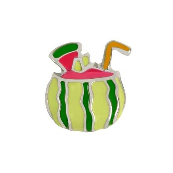 CH3408 - Watermelon Drink Charm