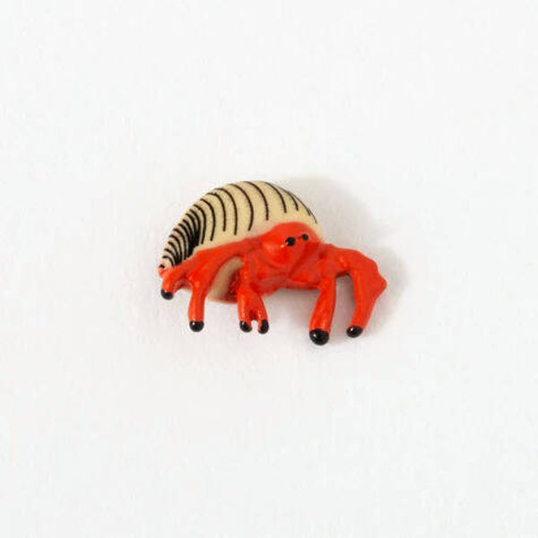 CH3807 - Hermit Crab Charm