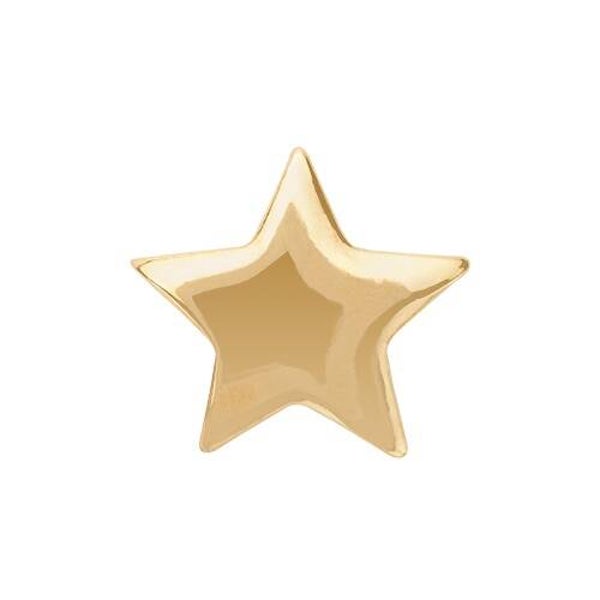 CH4024 - Gold Star Charm