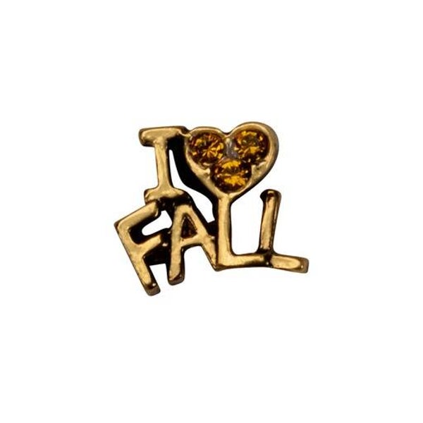CH3601 - I Love Fall Charm