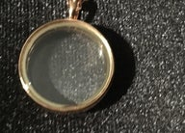 LK1133 - RG Medium Modern Hinged Living Locket