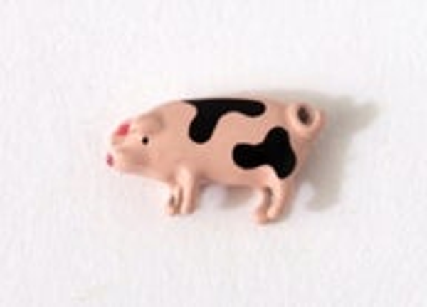 CH3843 - Spotted Pig