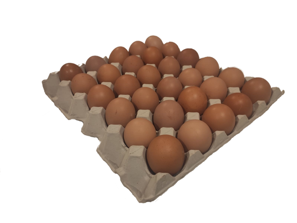 30x Jumbo Pastured Eggs (Size 8)