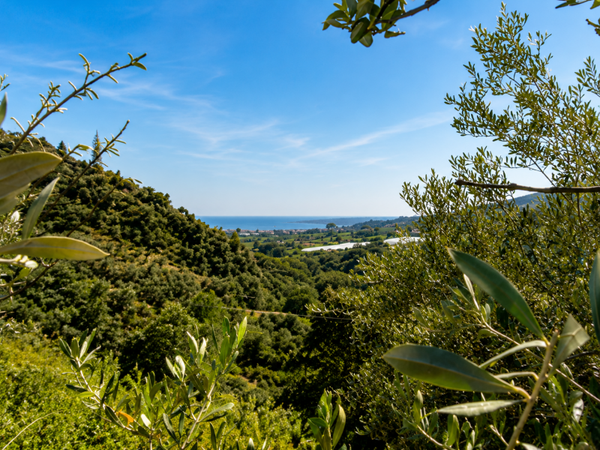 Historic 19th-Century Palmento at the Foot of Mount Etna – Piedimonte Etneo