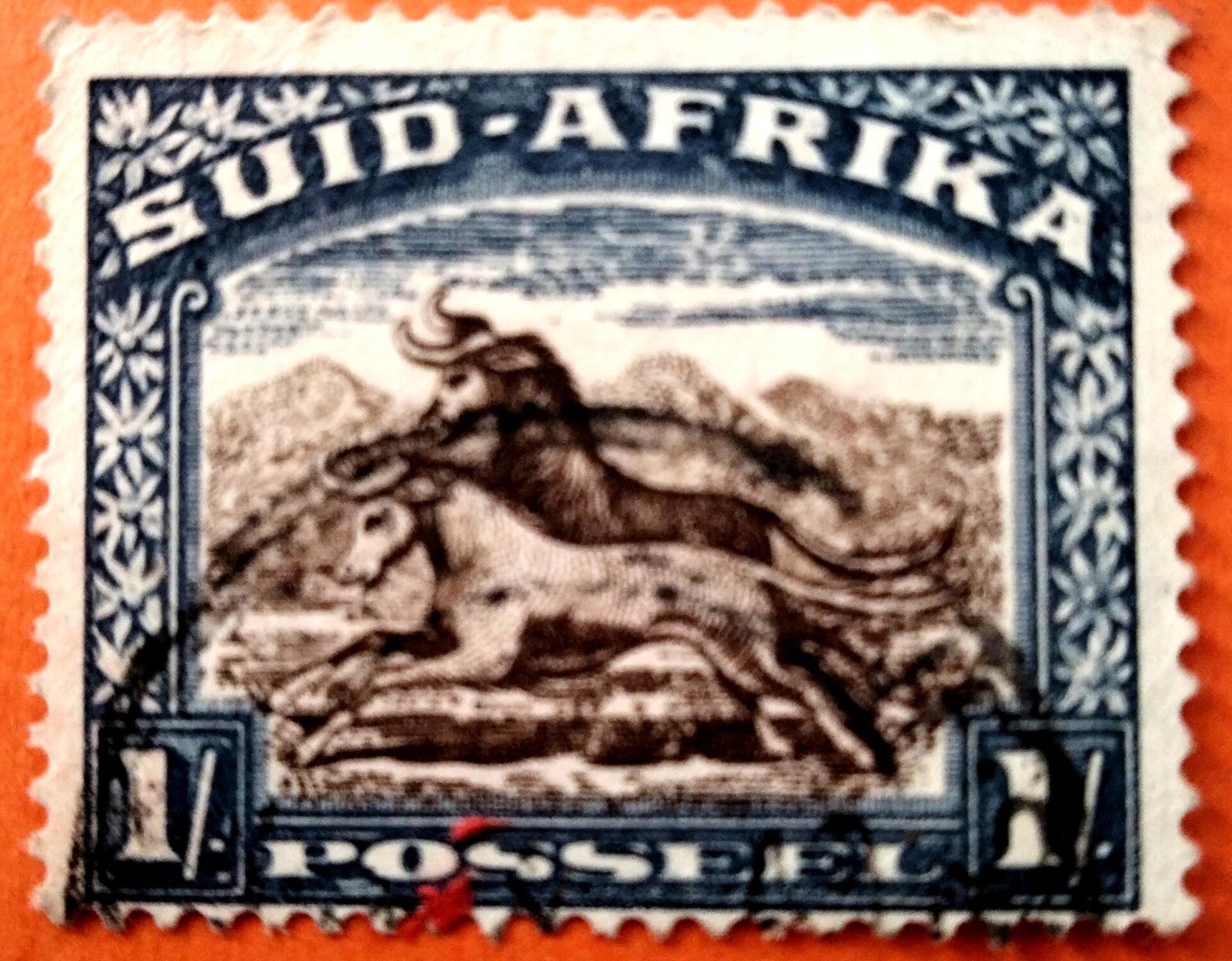 South Africa:1931-0007