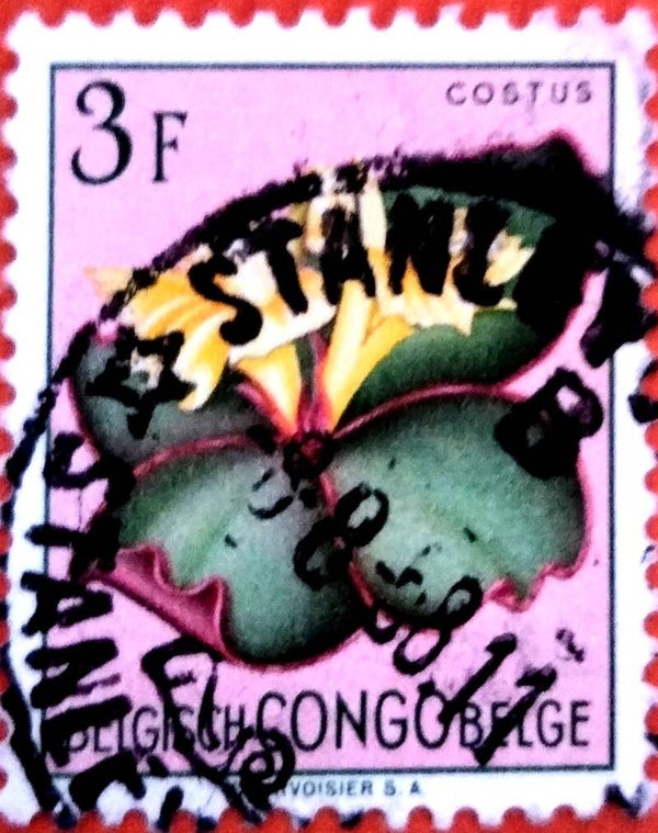 Congo:****-0011
