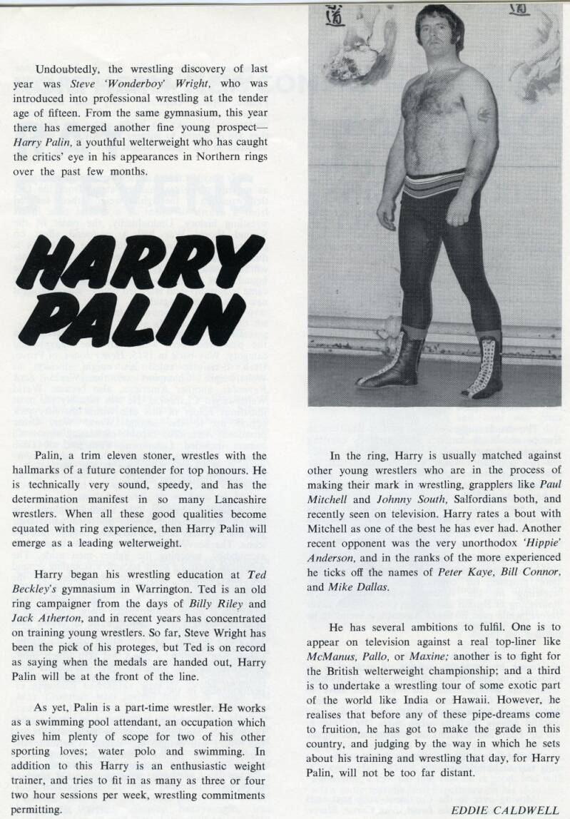 palin01-standard-n7mz1l.jpg