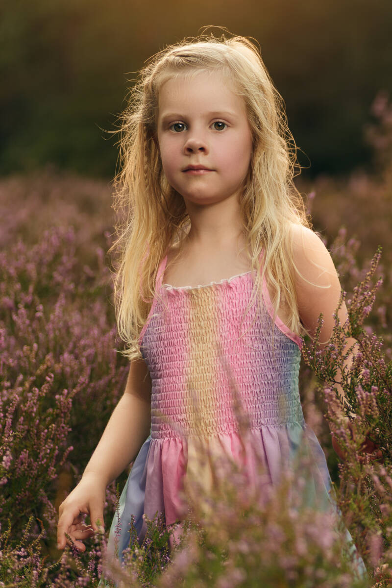 Sfeervol kinderportret op de heide tijdens het gouden uur. Warm zomerlicht met gouden tegenlicht in de haren en een intense, open blik. Lifestyle fotografie door Mark Nederhoed. Magazine fotoshoot omgeving Culemborg en Tiel