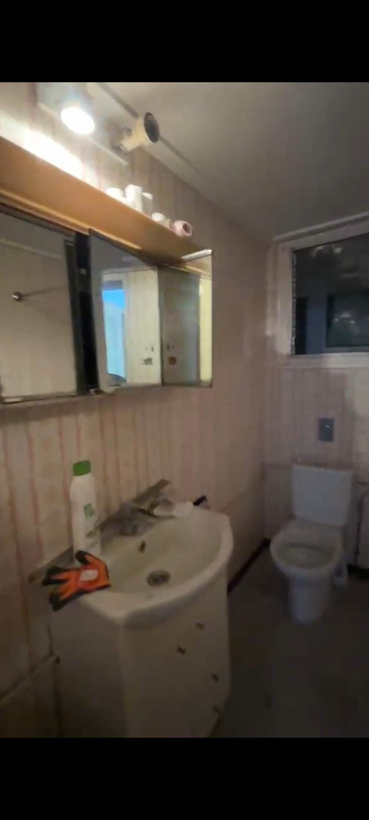 screenshot_2026-08-22-22-53-00-724_com-whatsapp-standard.jpg