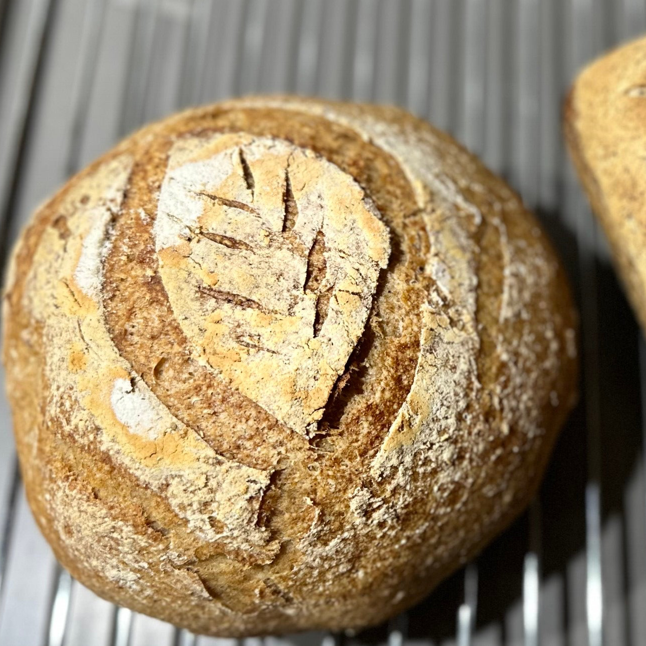 Artisan Gluten Free Sourdough Boule