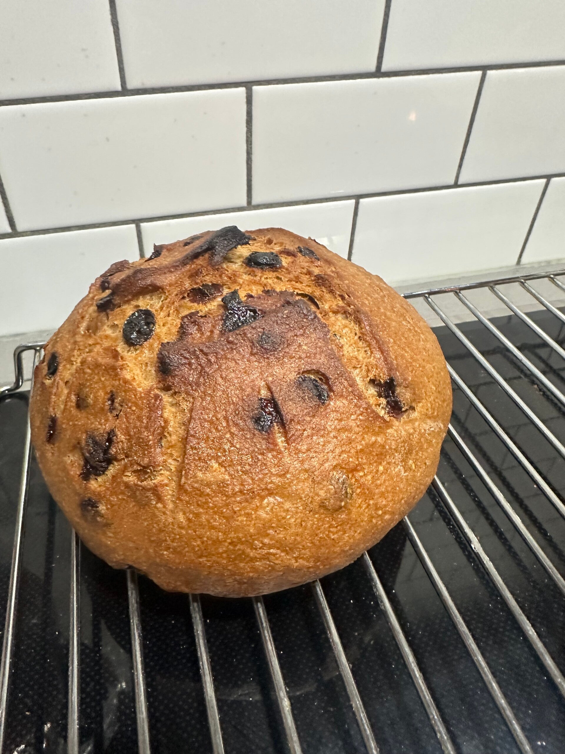 **NEW**Artisan GF Cinnamon Raisin Sourdough Boule