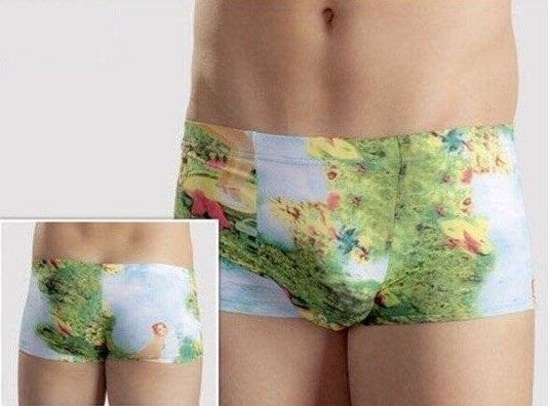 Boxer Meet me in the Woods