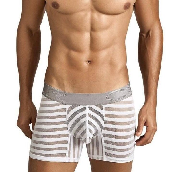 Clever Kansai boxer White