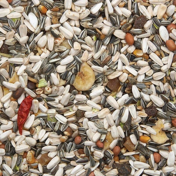 445 - Papageien mit Früchten