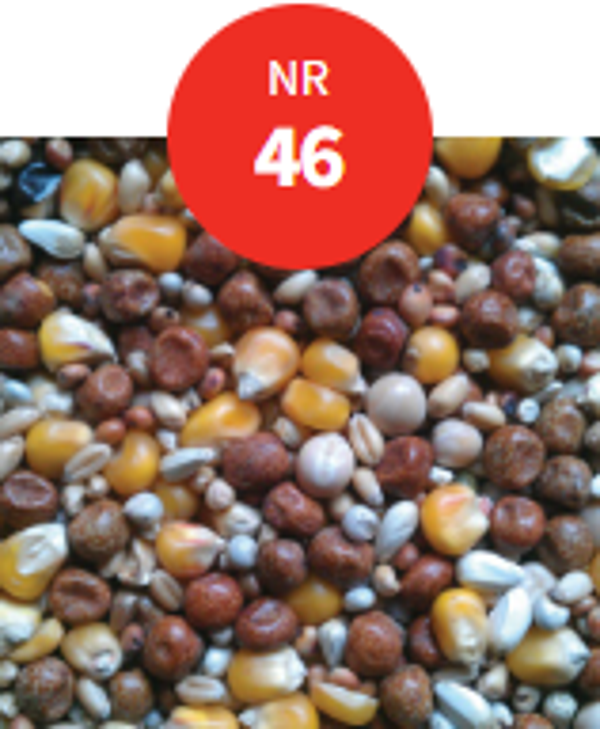 UK BEST ALLROUND NR. 46