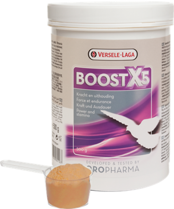 Boost X5 - 500g