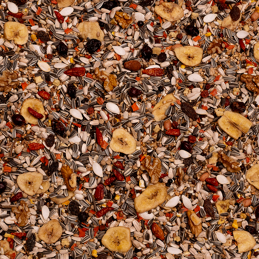 Papageien Down Under Birdelicious