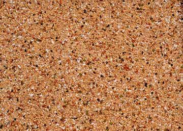Premium Super Depurative (Without Barley) - 20 kg