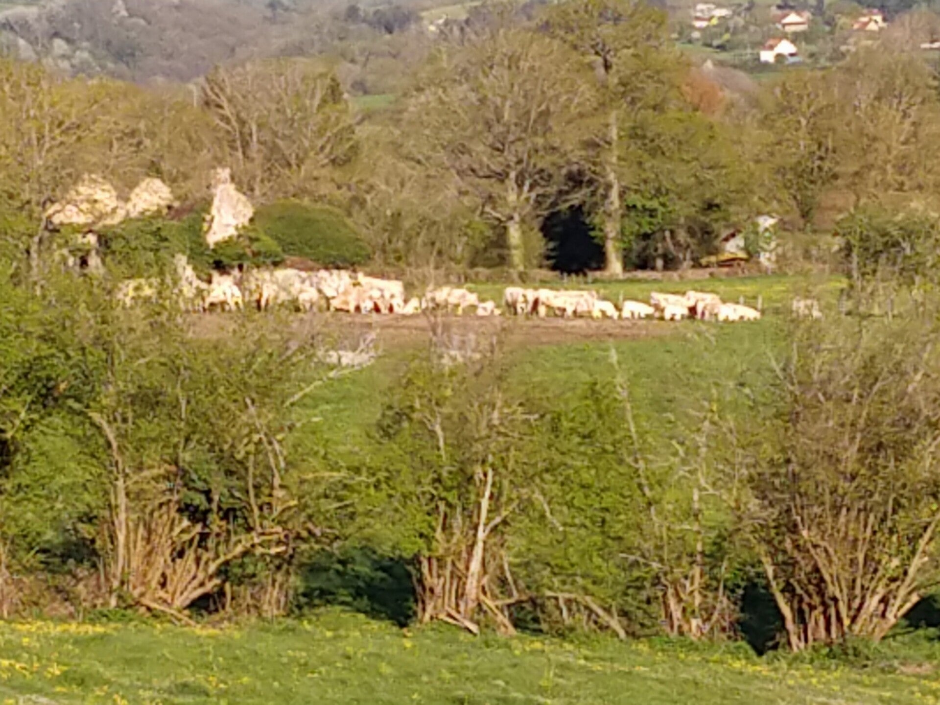 Wandelen Platteland Auvergne, Puy de Dôme Gite La Petite Chouette Moureuille
