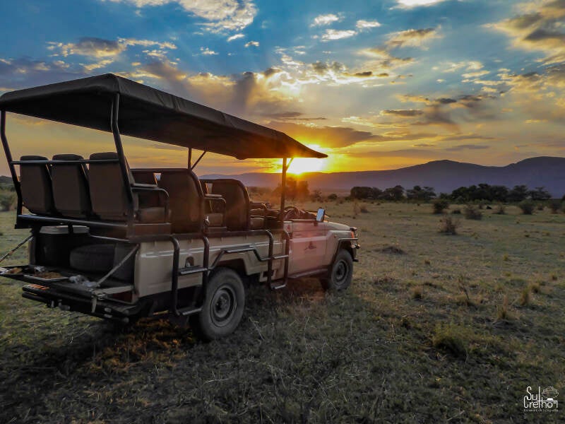 Ochtendsafari in Zuid Afrika