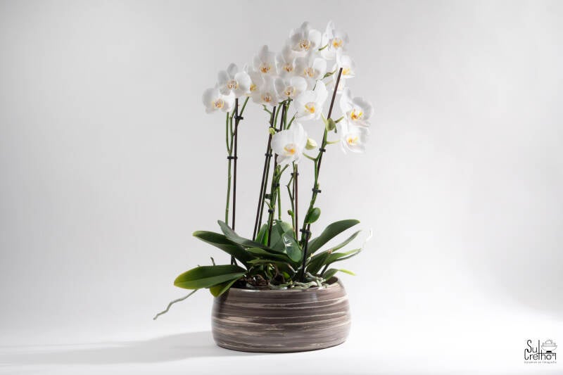 Grote handgemaakte keramische schaal