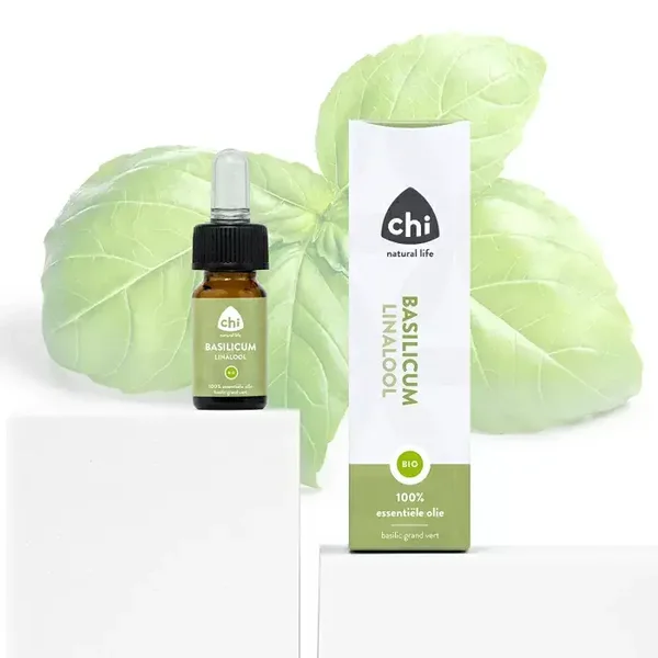 Basilicum