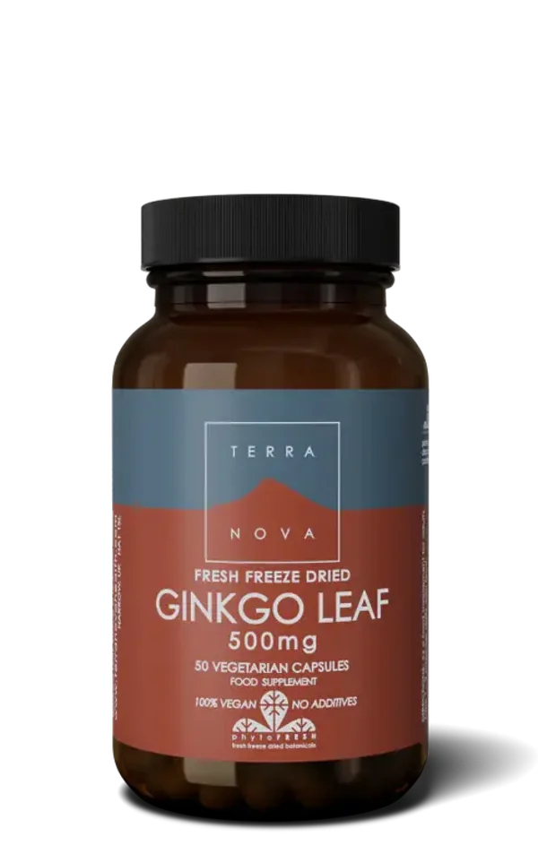 GINKGO 500MG