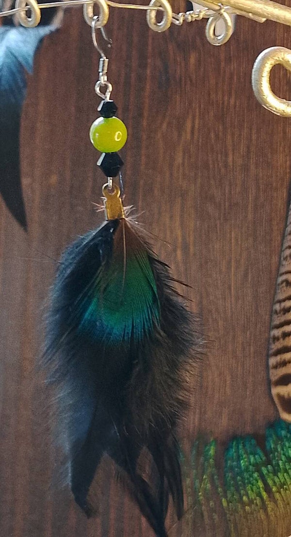 ☀️ Solitaire coq noir