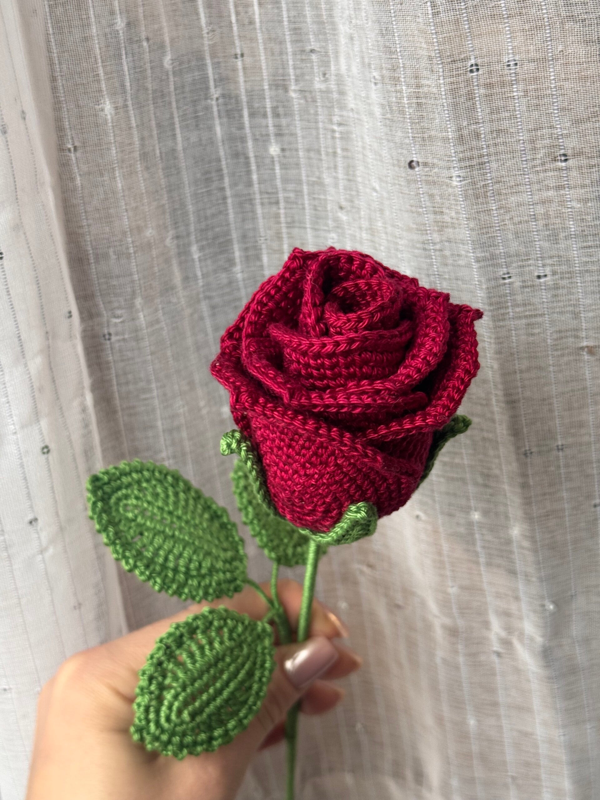 Klasična vrtnica - BORDO