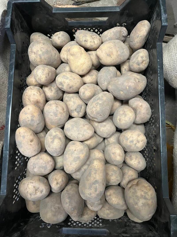 Aardappels