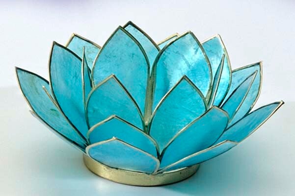 Lotusblomst Aquamarine