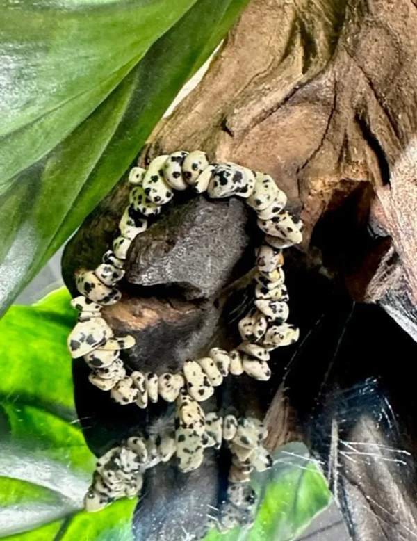 Dalmatiner Chips Armbånd