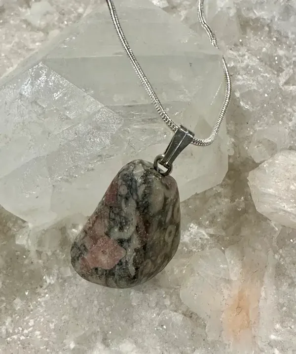 Jaspis Fossil Slipt Anheng