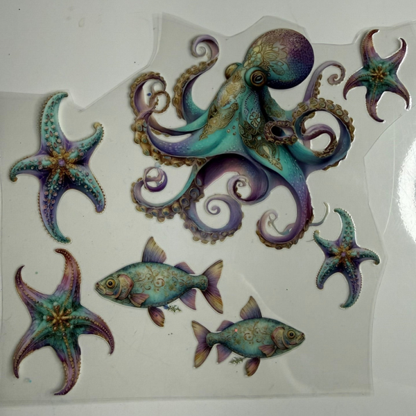 Octopus, Fish, Starfish